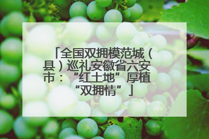 全国双拥模范城（县）巡礼安徽省六安市：“红土地”厚植“双拥情”