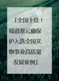 全国十佳！蜀道翠云廊保护入选全国文物事业高质量发展案例