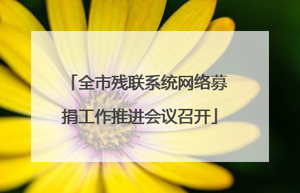 全市残联系统网络募捐工作推进会议召开