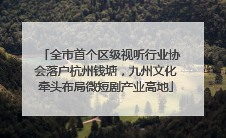 全市首个区级视听行业协会落户杭州钱塘，九州文化牵头布局微短剧产业高地