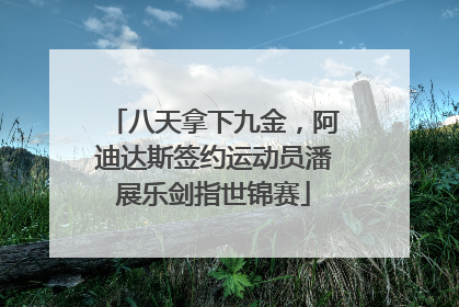 八天拿下九金，阿迪达斯签约运动员潘展乐剑指世锦赛