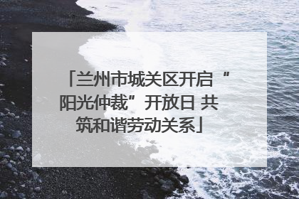 兰州市城关区开启“阳光仲裁”开放日 共筑和谐劳动关系