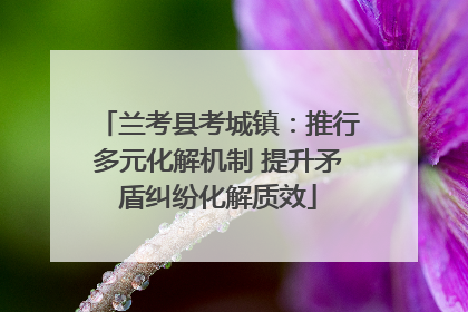 兰考县考城镇：推行多元化解机制 提升矛盾纠纷化解质效