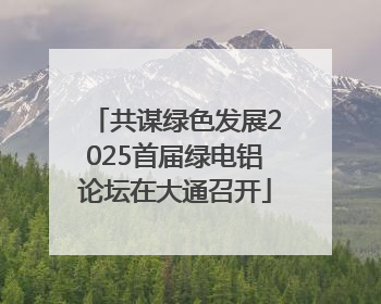 共谋绿色发展2025首届绿电铝论坛在大通召开
