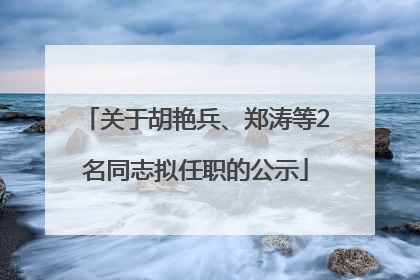 关于胡艳兵、郑涛等2名同志拟任职的公示