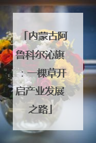 内蒙古阿鲁科尔沁旗：一棵草开启产业发展之路