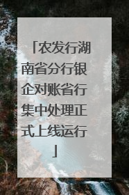 农发行湖南省分行银企对账省行集中处理正式上线运行