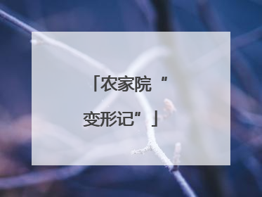农家院“变形记”