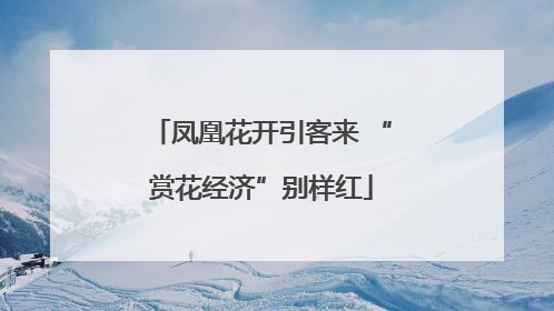 凤凰花开引客来 “赏花经济”别样红