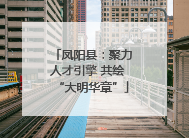 凤阳县：聚力人才引擎 共绘“大明华章”