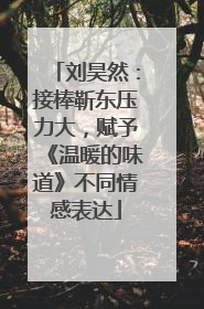 刘昊然：接棒靳东压力大，赋予《温暖的味道》不同情感表达
