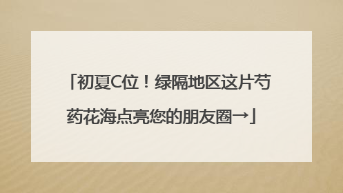 初夏C位！绿隔地区这片芍药花海点亮您的朋友圈→