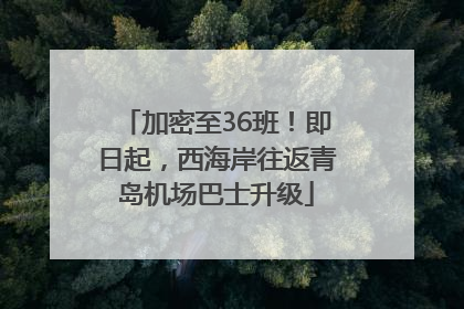 加密至36班！即日起，西海岸往返青岛机场巴士升级