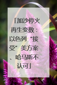 加沙停火再生变数：以色列“接受”美方案、哈马斯不认可