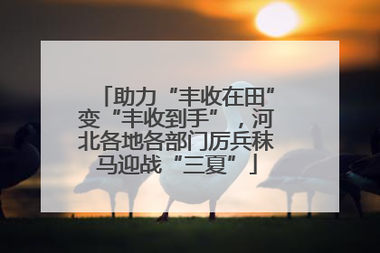 助力“丰收在田”变“丰收到手”，河北各地各部门厉兵秣马迎战“三夏”
