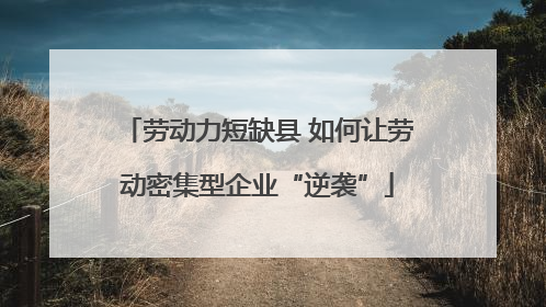 劳动力短缺县 如何让劳动密集型企业“逆袭”