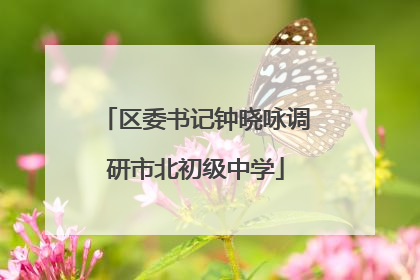 区委书记钟晓咏调研市北初级中学