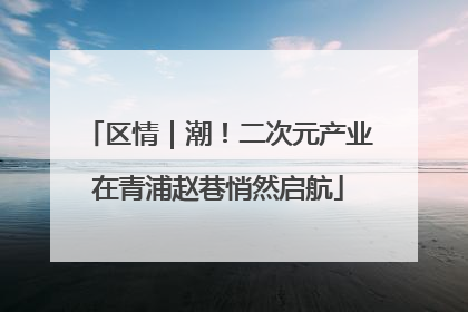 区情｜潮！二次元产业在青浦赵巷悄然启航
