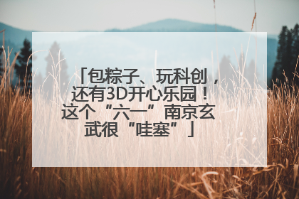 包粽子、玩科创，还有3D开心乐园！这个“六一”南京玄武很“哇塞”