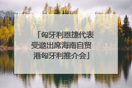 匈牙利恩捷代表受邀出席海南自贸港匈牙利推介会