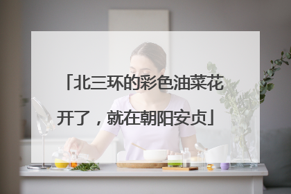 北三环的彩色油菜花开了，就在朝阳安贞