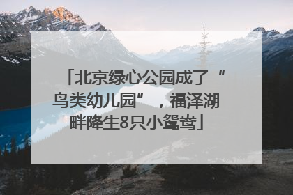 北京绿心公园成了“鸟类幼儿园”，福泽湖畔降生8只小鸳鸯