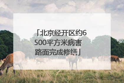 北京经开区约6500平方米病害路面完成修缮