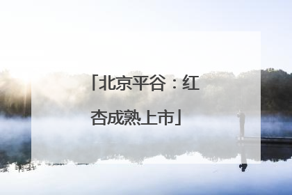 北京平谷：红杏成熟上市