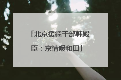 北京援疆干部韩殿臣：京情暖和田