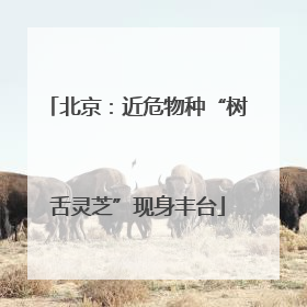 北京：近危物种“树舌灵芝”现身丰台
