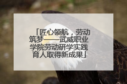 匠心领航，劳动筑梦——武威职业学院劳动研学实践育人取得新成果