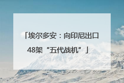 埃尔多安：向印尼出口48架“五代战机”