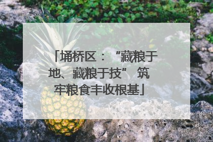 埇桥区：“藏粮于地、藏粮于技” 筑牢粮食丰收根基