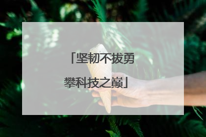 坚韧不拔勇攀科技之巅