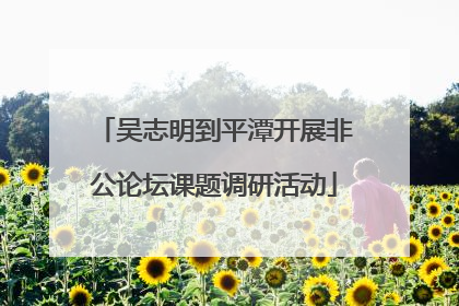 吴志明到平潭开展非公论坛课题调研活动