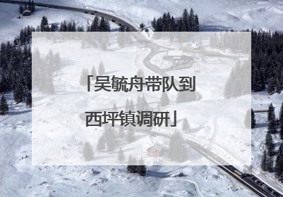 吴毓舟带队到西坪镇调研