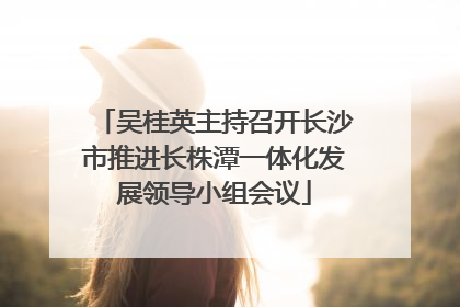 吴桂英主持召开长沙市推进长株潭一体化发展领导小组会议