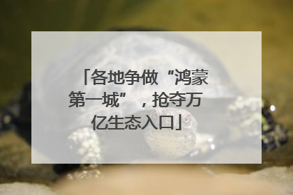 各地争做“鸿蒙第一城”，抢夺万亿生态入口