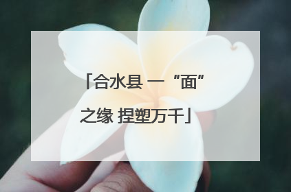 合水县 一“面”之缘 捏塑万千