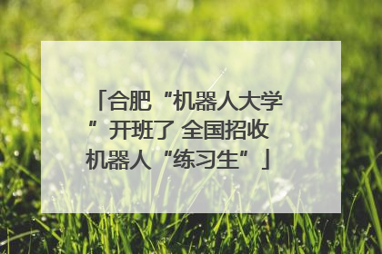 合肥“机器人大学”开班了 全国招收机器人“练习生”