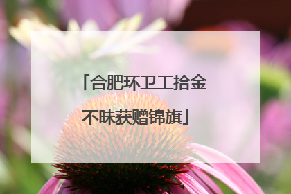 合肥环卫工拾金不昧获赠锦旗