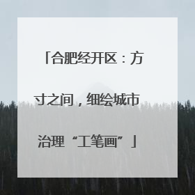 合肥经开区：方寸之间，细绘城市治理“工笔画”