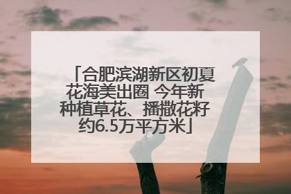 合肥滨湖新区初夏花海美出圈 今年新种植草花、播撒花籽约6.5万平方米