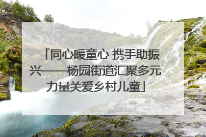 同心暖童心 携手助振兴——杨园街道汇聚多元力量关爱乡村儿童