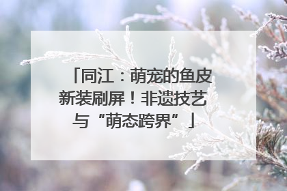 同江：萌宠的鱼皮新装刷屏！非遗技艺与“萌态跨界”