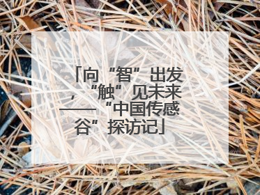 向“智”出发，“触”见未来——“中国传感谷”探访记