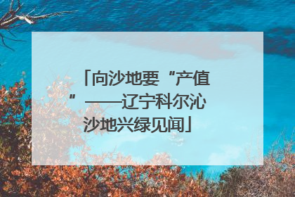 向沙地要“产值”——辽宁科尔沁沙地兴绿见闻