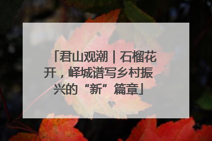 君山观潮｜石榴花开，峄城谱写乡村振兴的“新”篇章