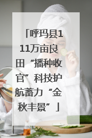 呼玛县111万亩良田“播种收官”科技护航蓄力“金秋丰景”