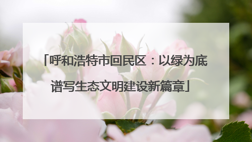 呼和浩特市回民区：以绿为底 谱写生态文明建设新篇章
